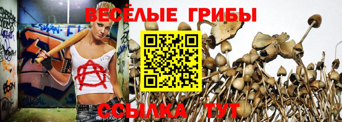 Псилоцибиновые грибы Psilocybe Волжский