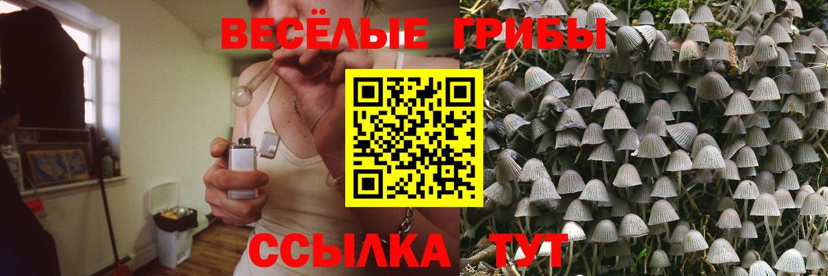 Псилоцибиновые грибы MAGIC MUSHROOMS  Вход с VPN  Волжский  Галлюциногенные грибы ЛСД 